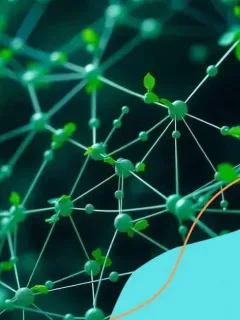 Blockchain-based solutions for fighting climate change