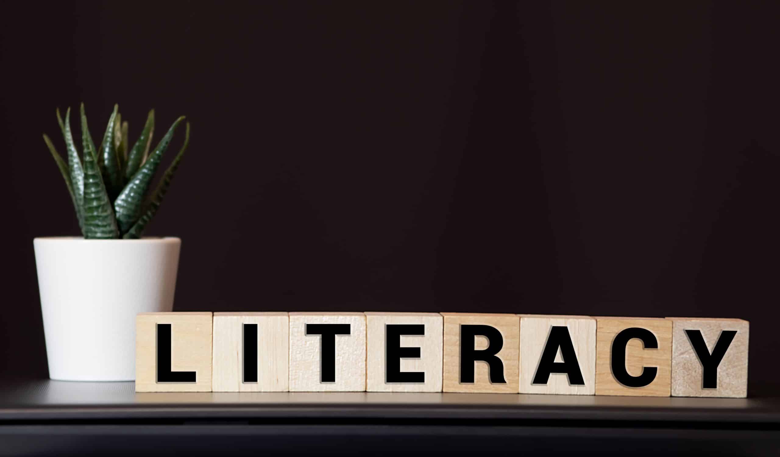 Literacy and state control grants
